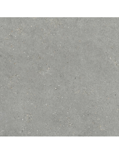 Porcelánico MITICA Gris 120x120cm de GRESPANIA - 36MI30R