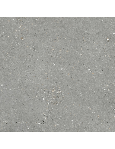 Porcelánico MITICA Gris 60x60cm de GRESPANIA - 82MI35R
