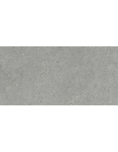 Porcelánico MITICA Gris 60x120cm de GRESPANIA - 44MI39R