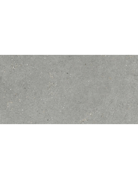 Porcelánico MITICA Gris 60x120cm de GRESPANIA - 44MI39R