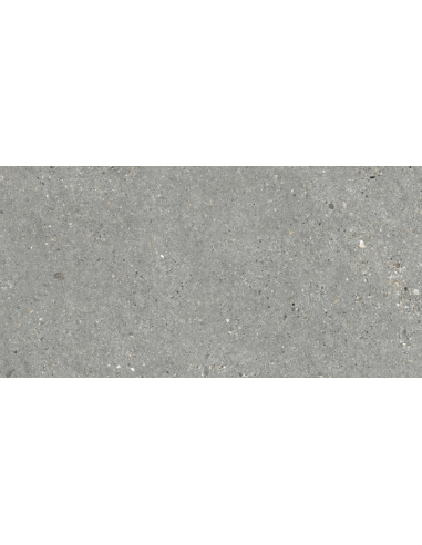 Porcelánico MITICA Gris 30x60cm de GRESPANIA - 46MI312
