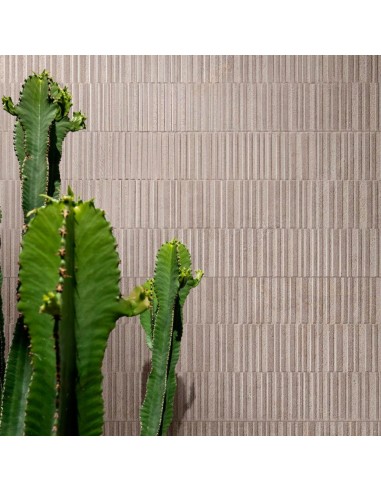 Azulejo NATURALIA Beige struttura codex 3D de Marazzi - MENG