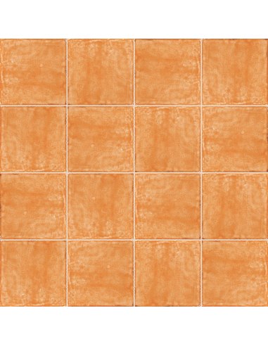 Azulejo ESTIL ANTIC Miel de Mainzu | Ref. PT00010