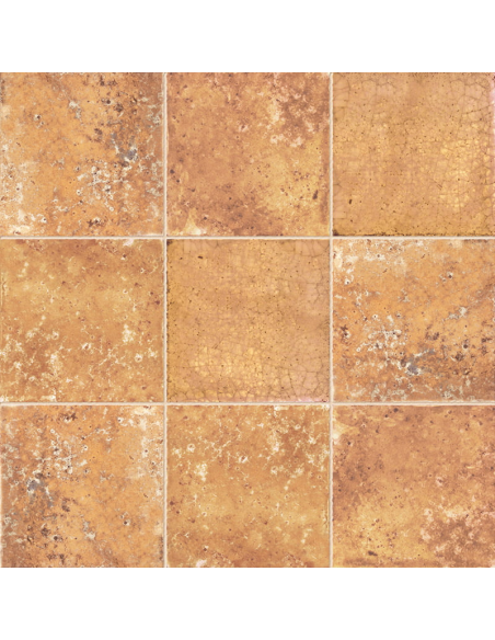 Azulejo MILANO Caldera de Mainzu | Ref. PT01844