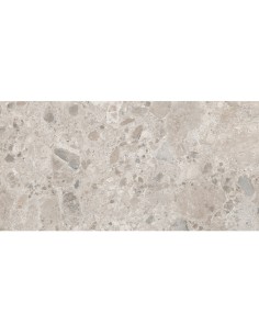 Porcelánico Carácter Mix Gris 60x120cm de Marazzi - M97D