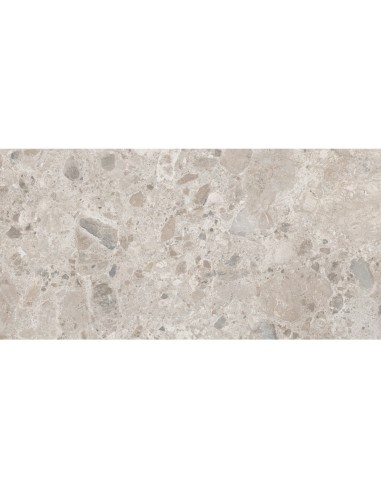 Porcelánico Carácter Mix Gris 60x120cm de Marazzi - M97D
