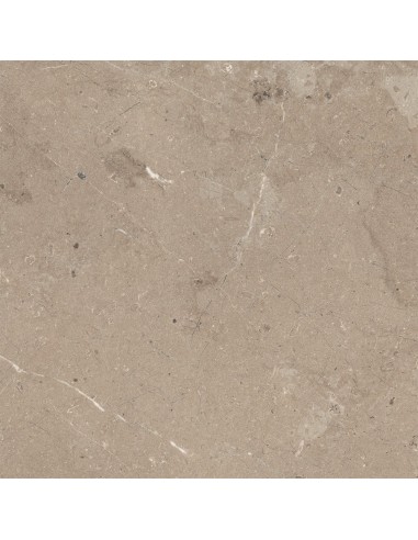 Porcelánico MYSTONE LIMESTONE Taupe 60x60cm de MARAZZI - M7E9