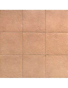 Porcelánico CENEM TERRA Canem Season de Mainzu 20x20cm | Porcelánico efecto hidráulico para interior| Azulisimo