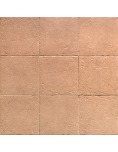 Porcelánico CENEM TERRA Canem Season de Mainzu 20x20cm | Porcelánico efecto hidráulico para interior| Azulisimo