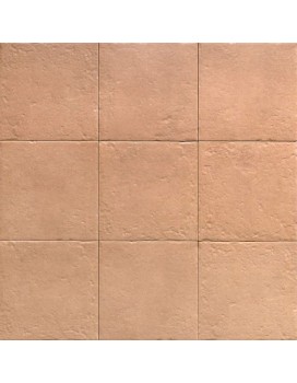 Porcelánico CENEM TERRA Canem Season de Mainzu 20x20cm | Porcelánico efecto hidráulico para interior| Azulisimo